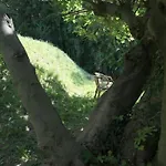 Casa-cleo By Interhome Lägenhet