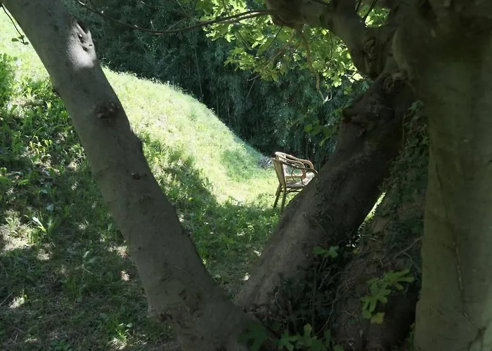 Casa-cleo By Interhome Appartamento